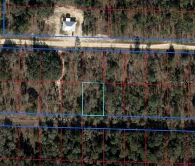 Residential Land For Sale in Williston, Florida