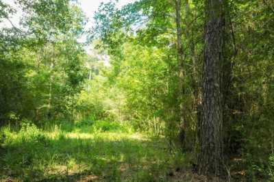 Residential Land For Sale in Garrison, Texas