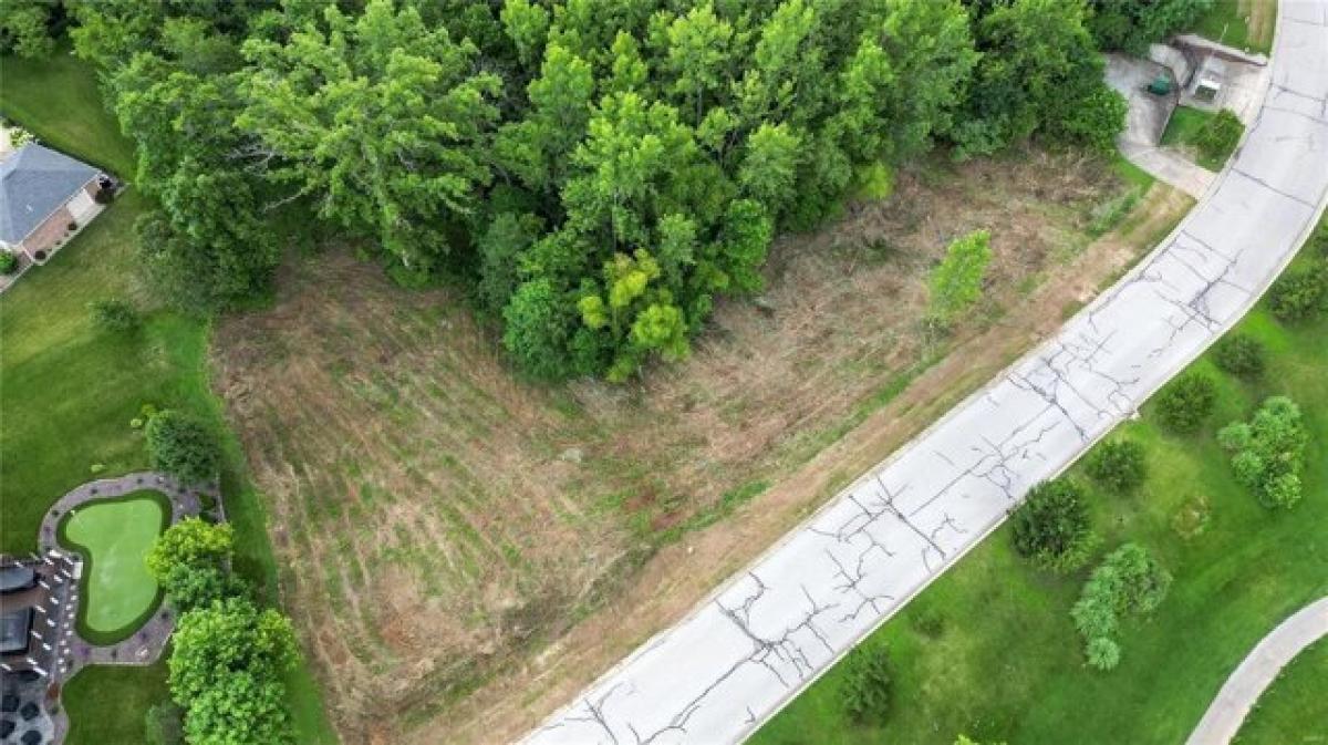 Picture of Residential Land For Sale in Caseyville, Illinois, United States