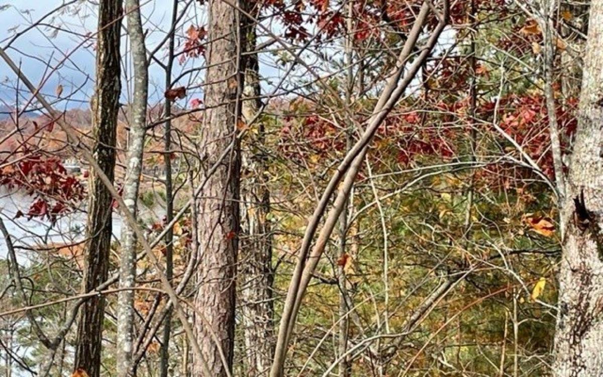 Picture of Residential Land For Sale in Hiawassee, Georgia, United States