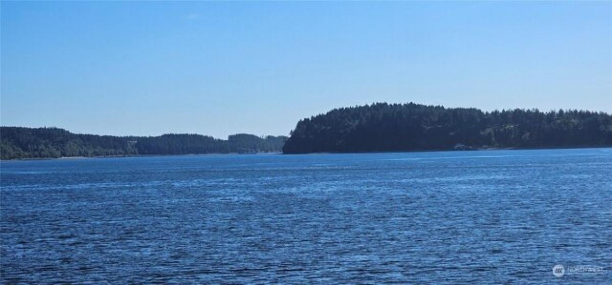 Picture of Residential Land For Sale in Anderson Island, Washington, United States