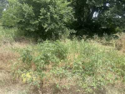 Residential Land For Sale in Whitewright, Texas