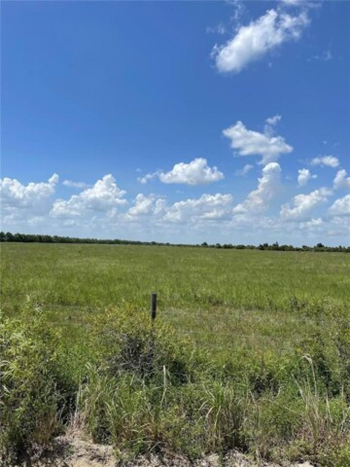 Picture of Residential Land For Sale in Venus, Florida, United States