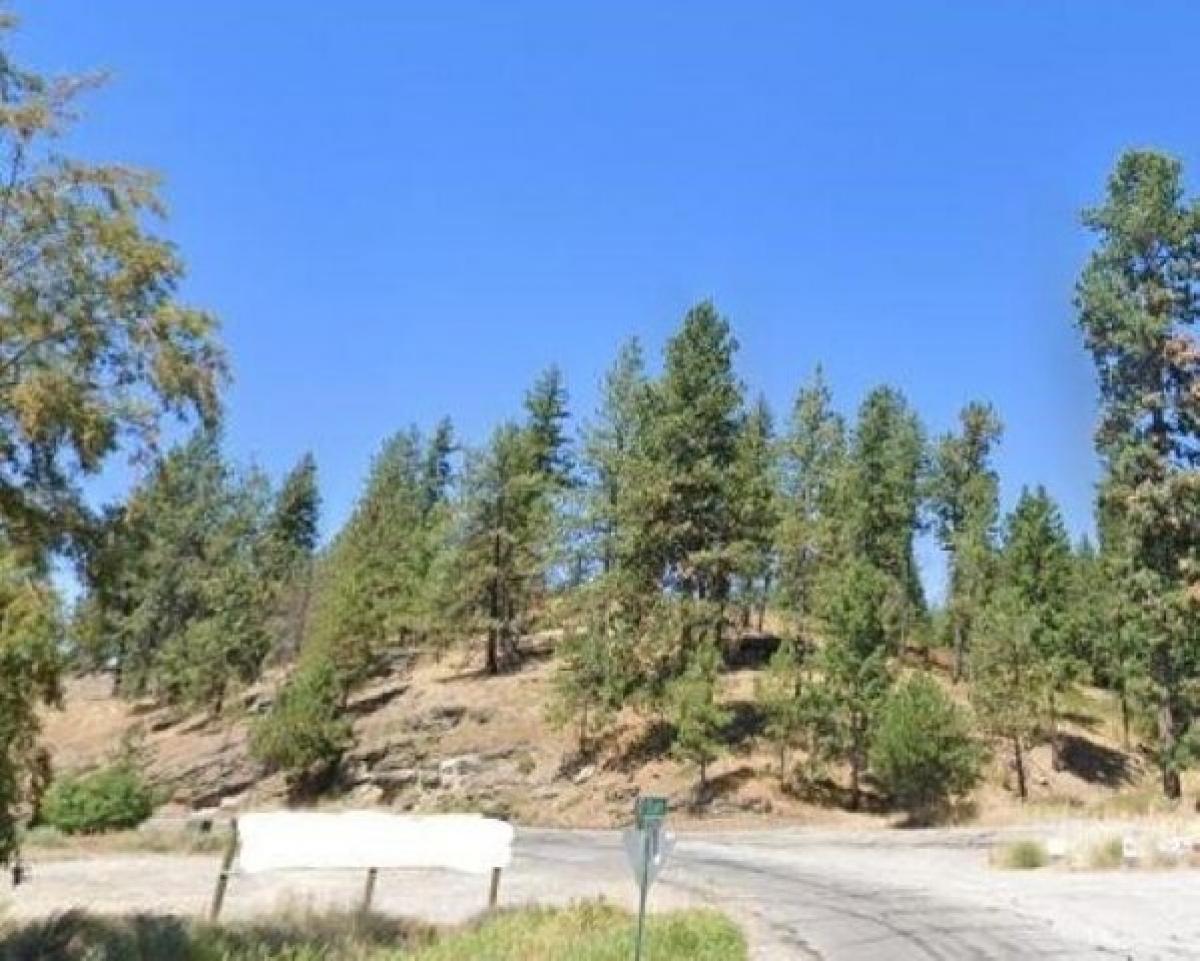 Picture of Residential Land For Sale in Newman Lake, Washington, United States