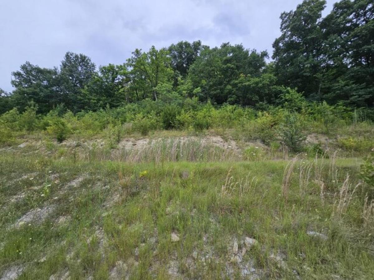 Picture of Residential Land For Sale in Fort Mitchell, Kentucky, United States