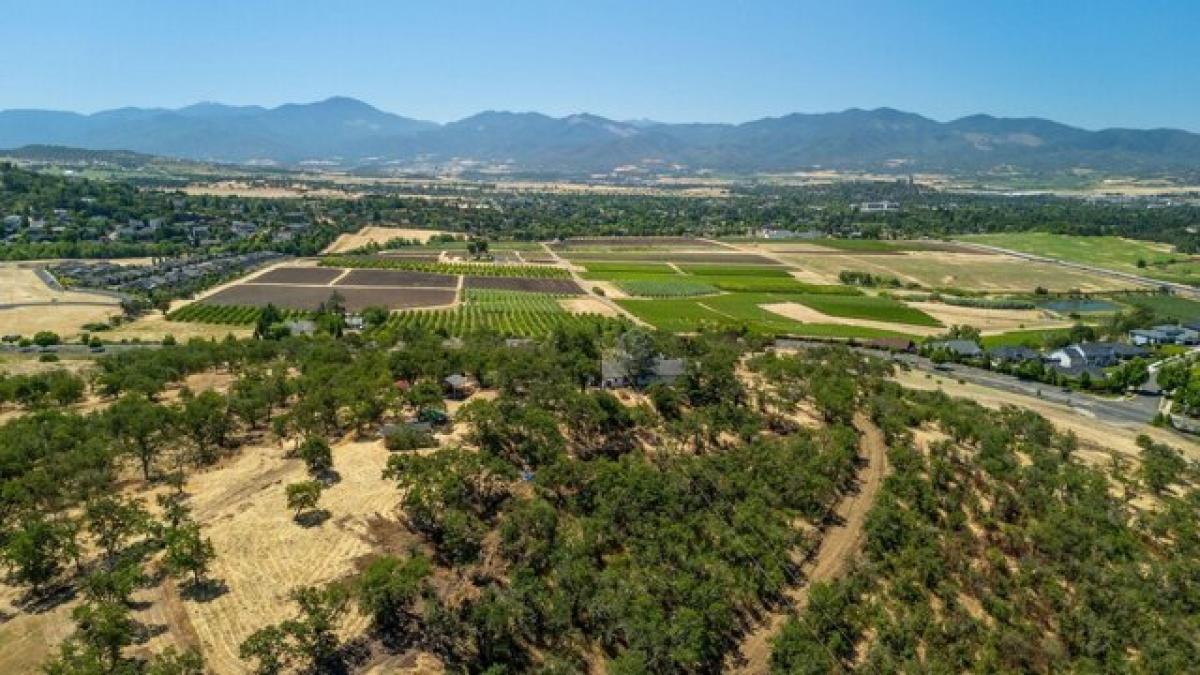 Picture of Residential Land For Sale in Medford, Oregon, United States