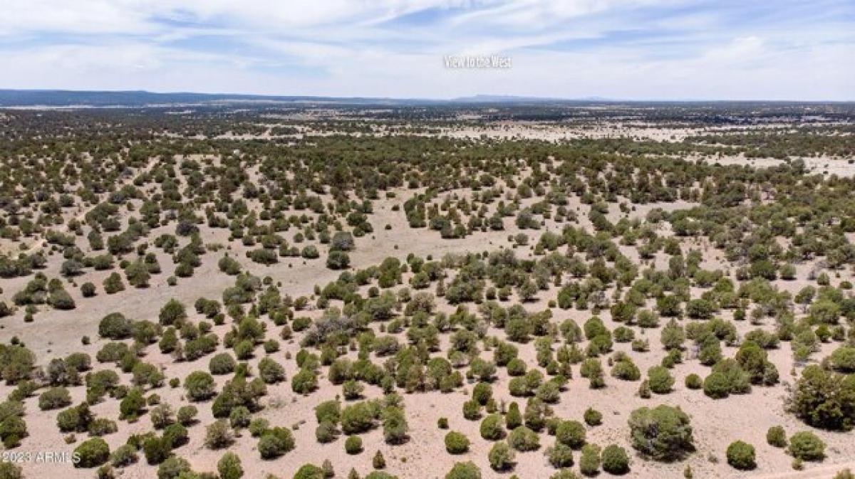 Picture of Residential Land For Sale in Seligman, Arizona, United States