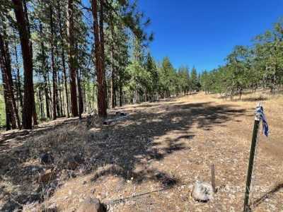 Residential Land For Sale in Goldendale, Washington