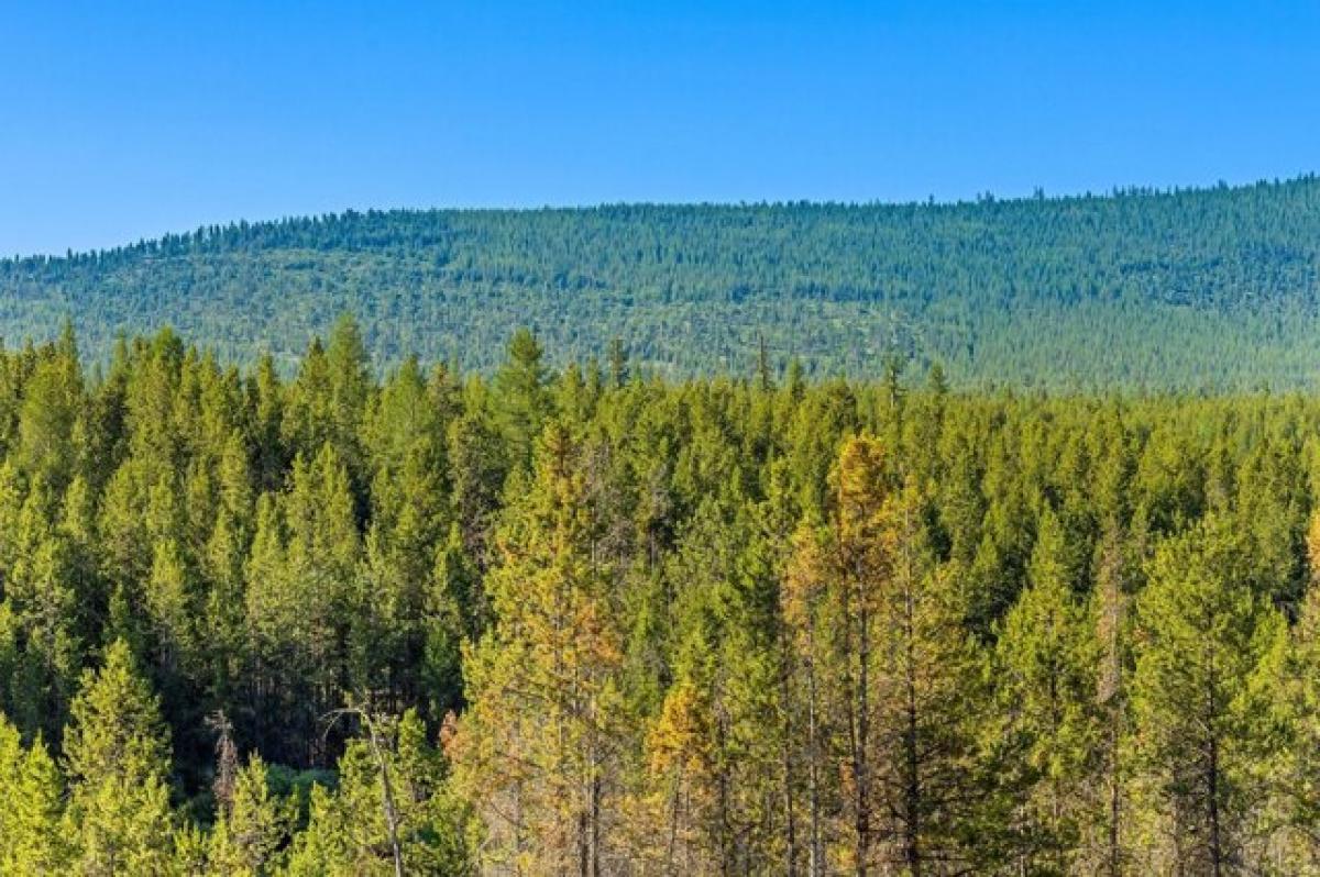 Picture of Residential Land For Sale in Marion, Montana, United States