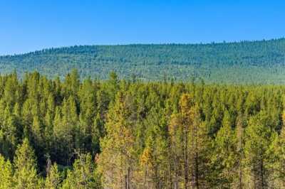 Residential Land For Sale in Marion, Montana