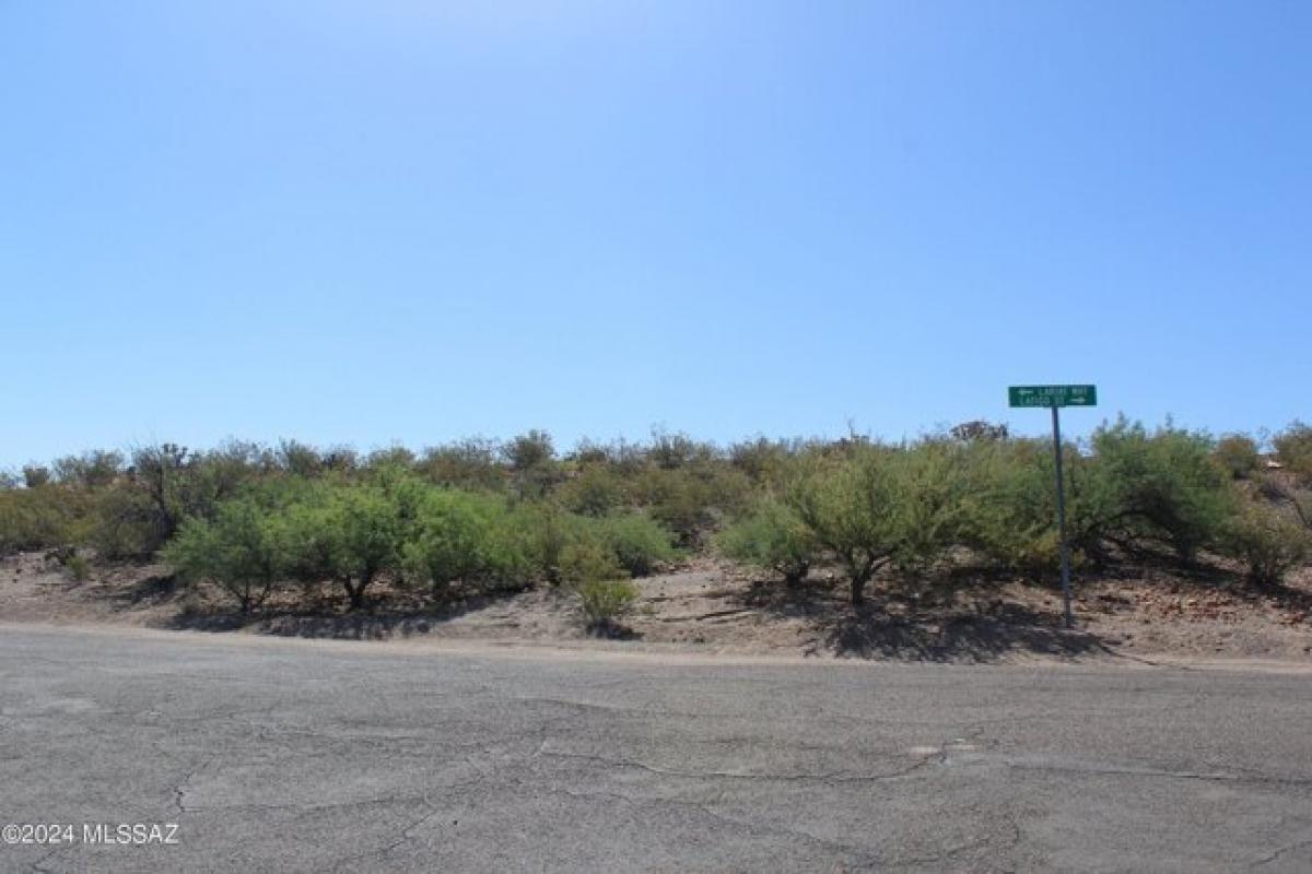 Picture of Residential Land For Sale in Safford, Arizona, United States