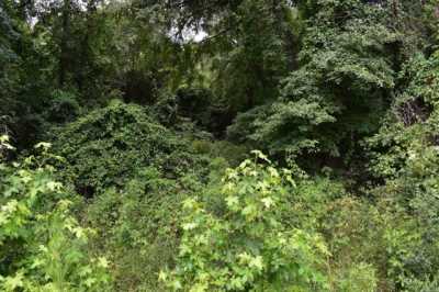 Residential Land For Sale in Hope, Arkansas