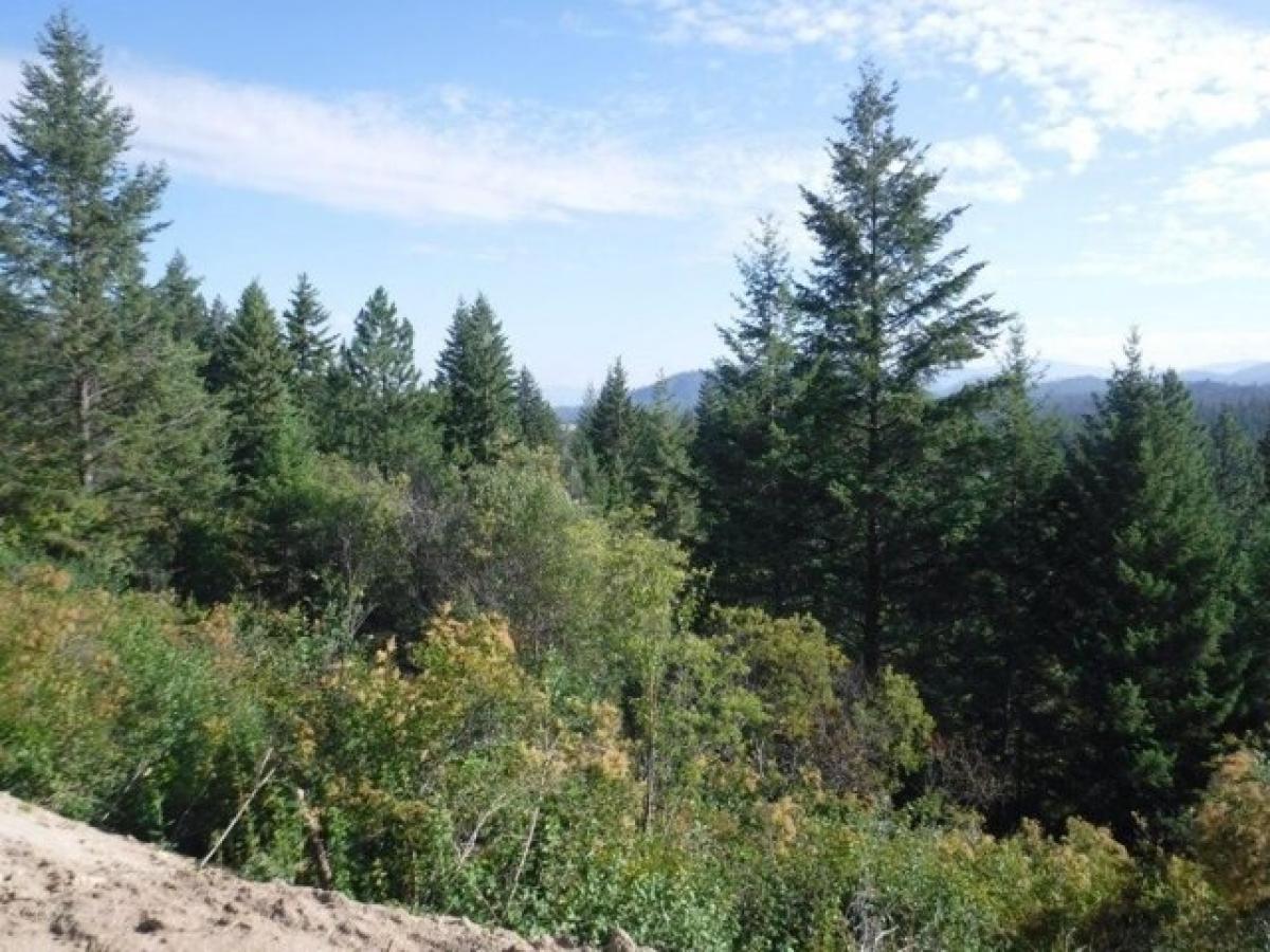 Picture of Residential Land For Sale in Loon Lake, Washington, United States