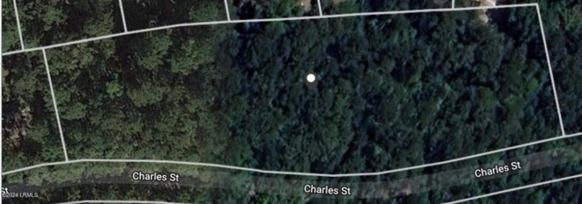 Picture of Residential Land For Sale in Varnville, South Carolina, United States