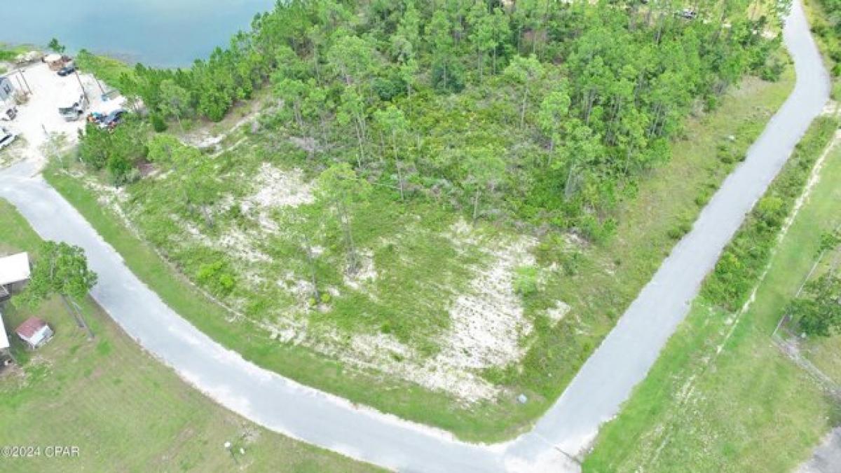 Picture of Residential Land For Sale in Wewahitchka, Florida, United States