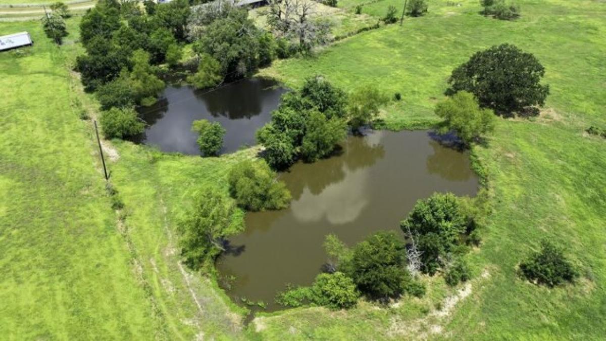 Picture of Residential Land For Sale in Midway, Texas, United States