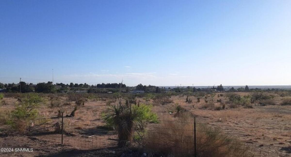 Picture of Residential Land For Sale in Anthony, New Mexico, United States