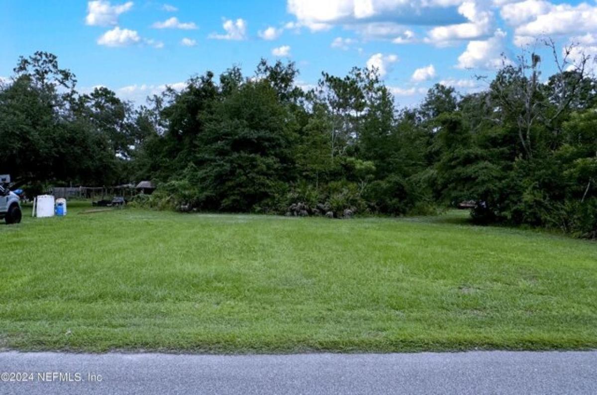 Picture of Residential Land For Sale in Hollister, Florida, United States