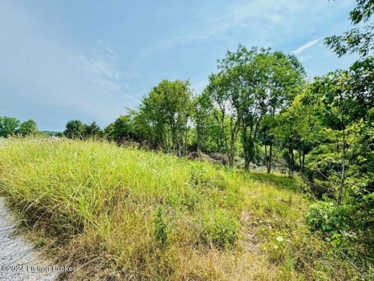 Picture of Residential Land For Sale in Willisburg, Kentucky, United States