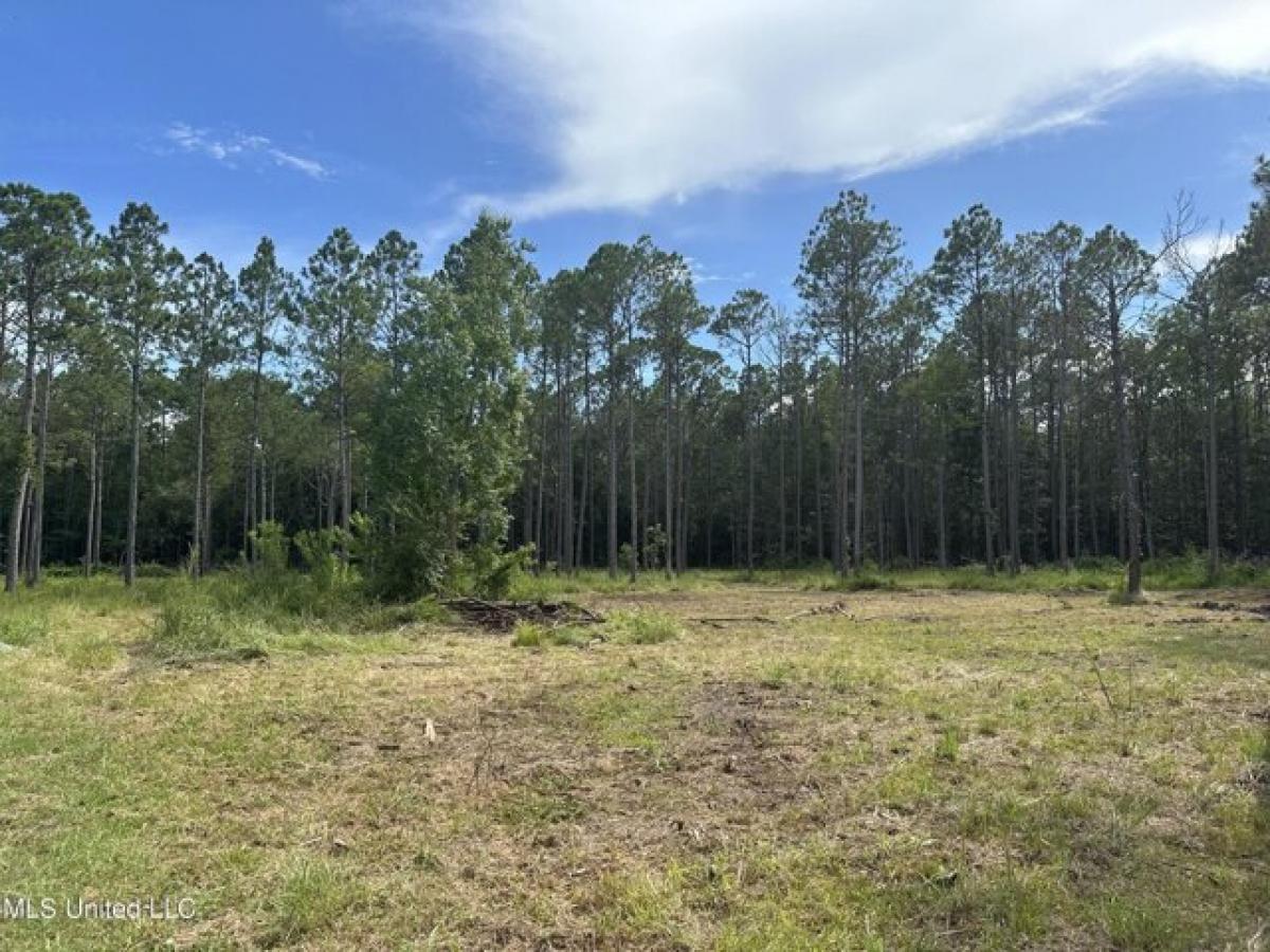 Picture of Residential Land For Sale in Long Beach, Mississippi, United States