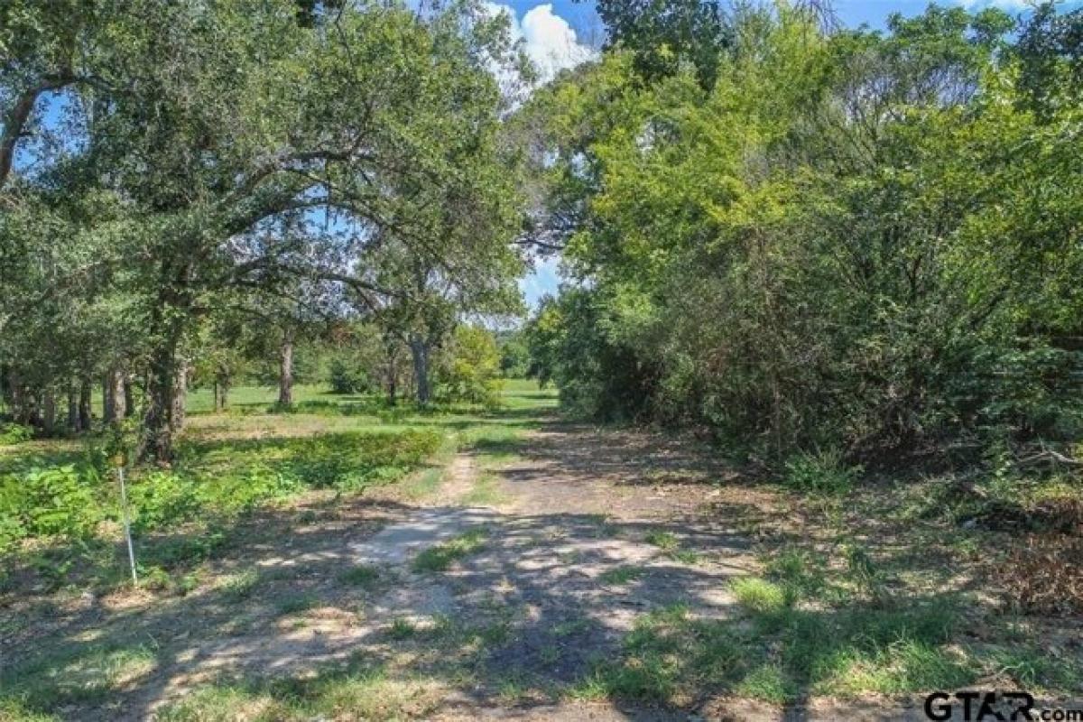 Picture of Residential Land For Sale in Canton, Texas, United States