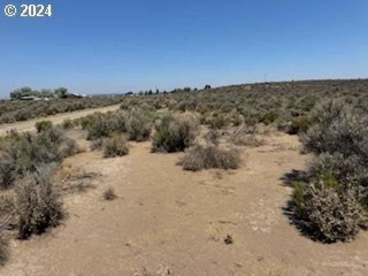 Picture of Residential Land For Sale in Christmas Valley, Oregon, United States