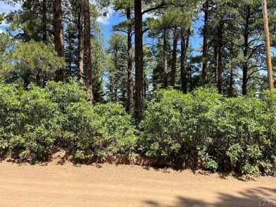 Residential Land For Sale in Rye, Colorado