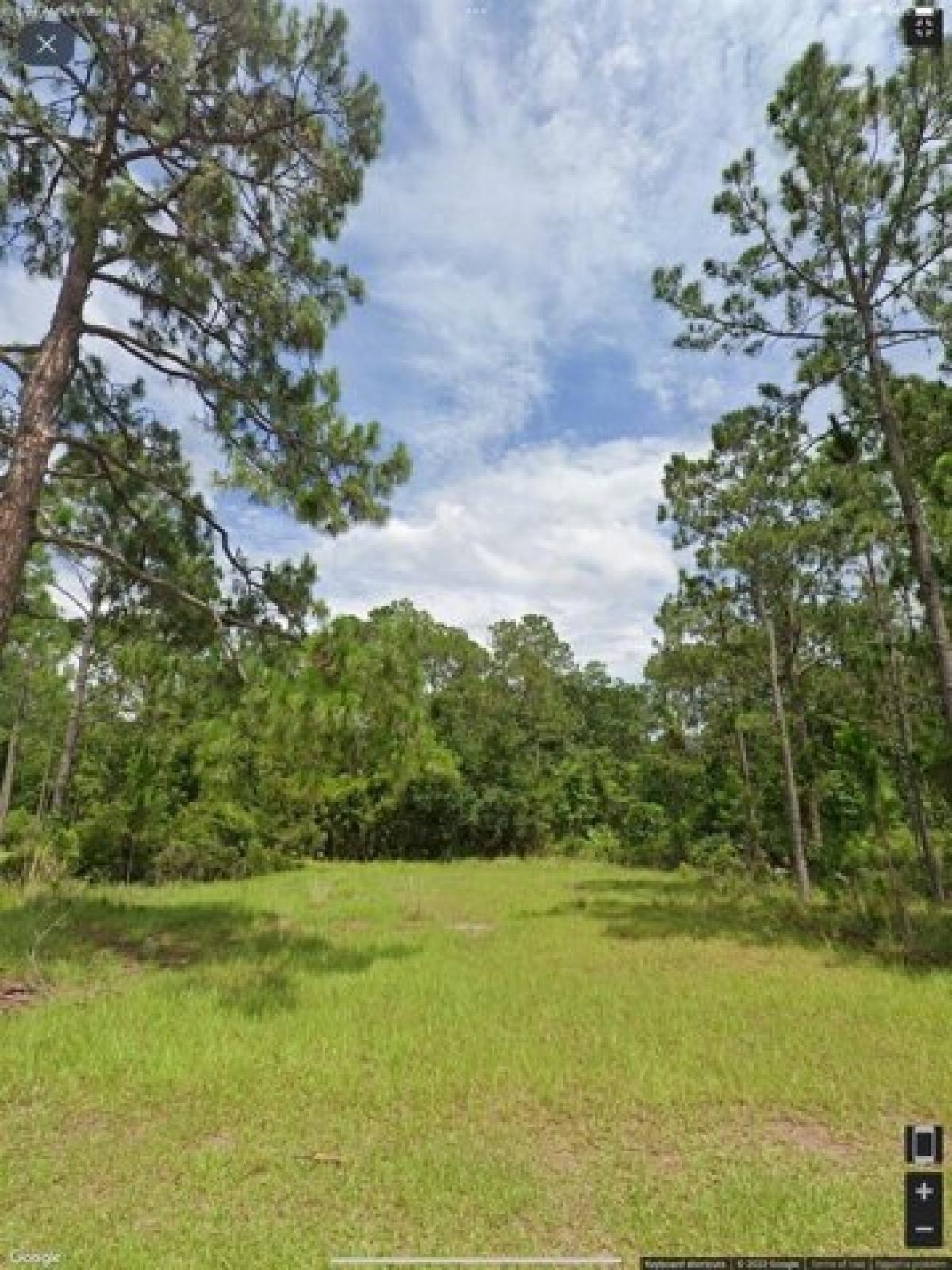 Picture of Residential Land For Sale in Harmony, Florida, United States