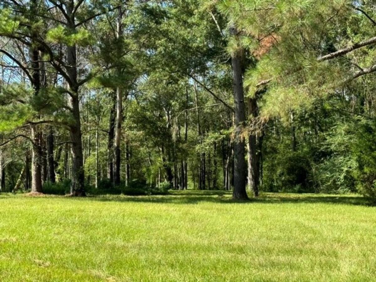 Picture of Residential Land For Sale in Terry, Mississippi, United States