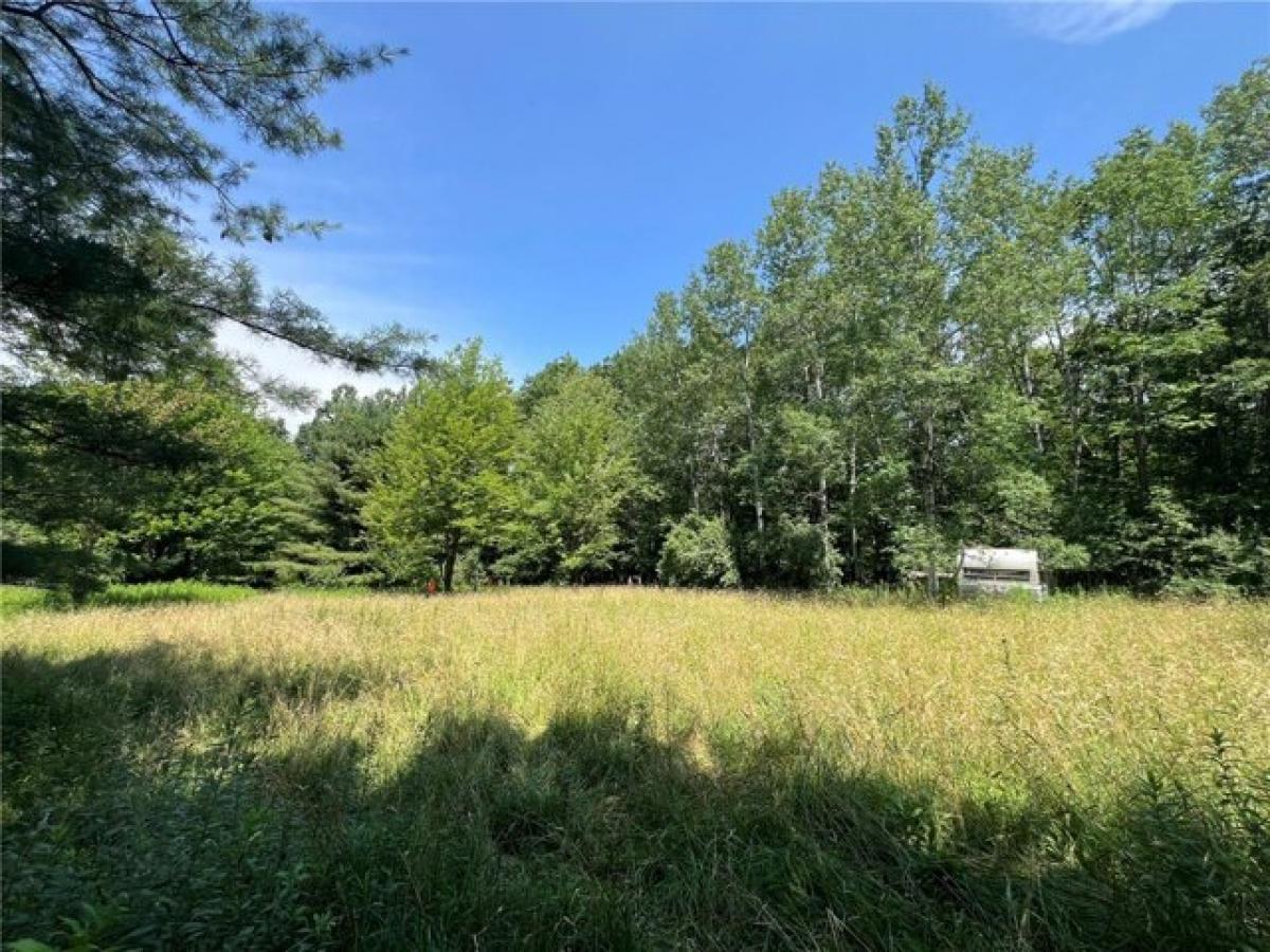 Picture of Residential Land For Sale in Nunda, New York, United States