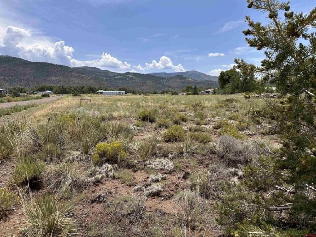 Picture of Residential Land For Sale in South Fork, Colorado, United States