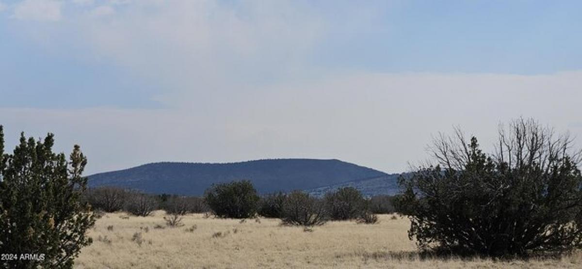 Picture of Residential Land For Sale in Flagstaff, Arizona, United States