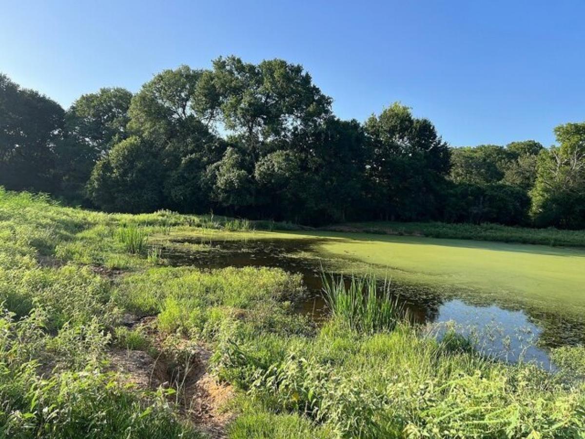 Picture of Residential Land For Sale in New Ulm, Texas, United States