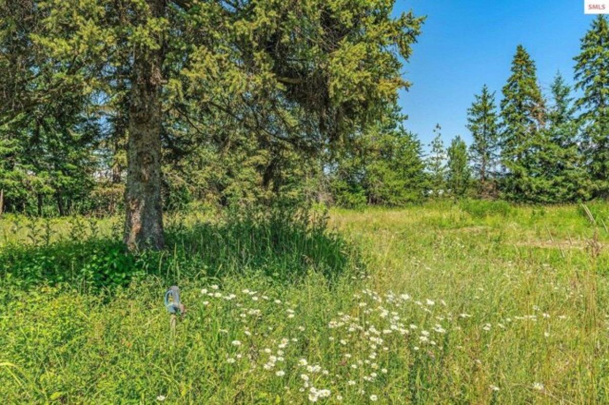 Picture of Residential Land For Sale in Kootenai, Idaho, United States