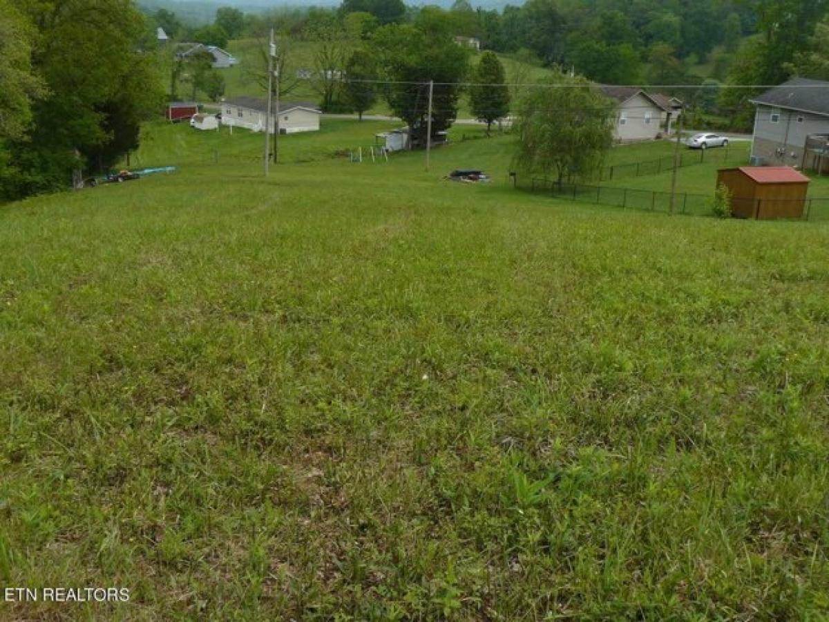 Picture of Residential Land For Sale in Tazewell, Tennessee, United States