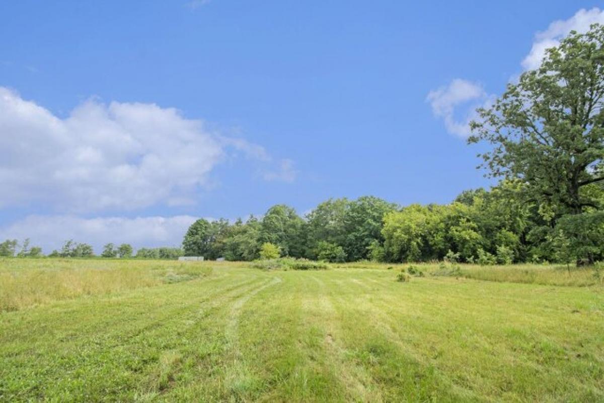 Picture of Residential Land For Sale in Charlotte, Michigan, United States