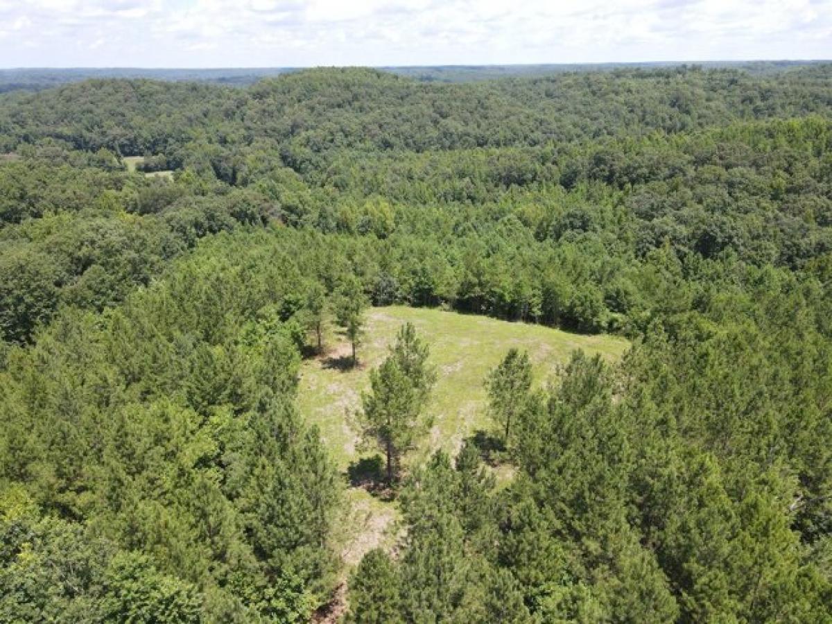 Picture of Residential Land For Sale in Stewart, Tennessee, United States