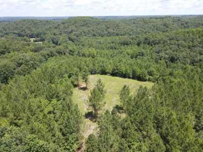 Residential Land For Sale in Stewart, Tennessee