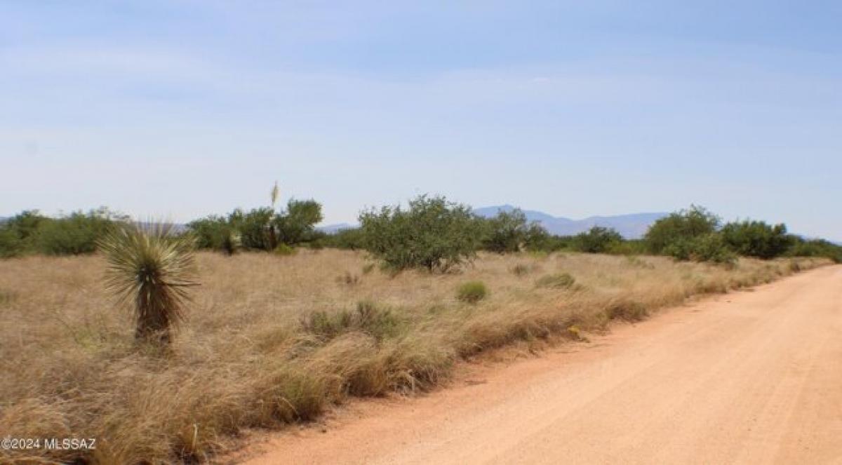 Picture of Residential Land For Sale in Saint David, Arizona, United States