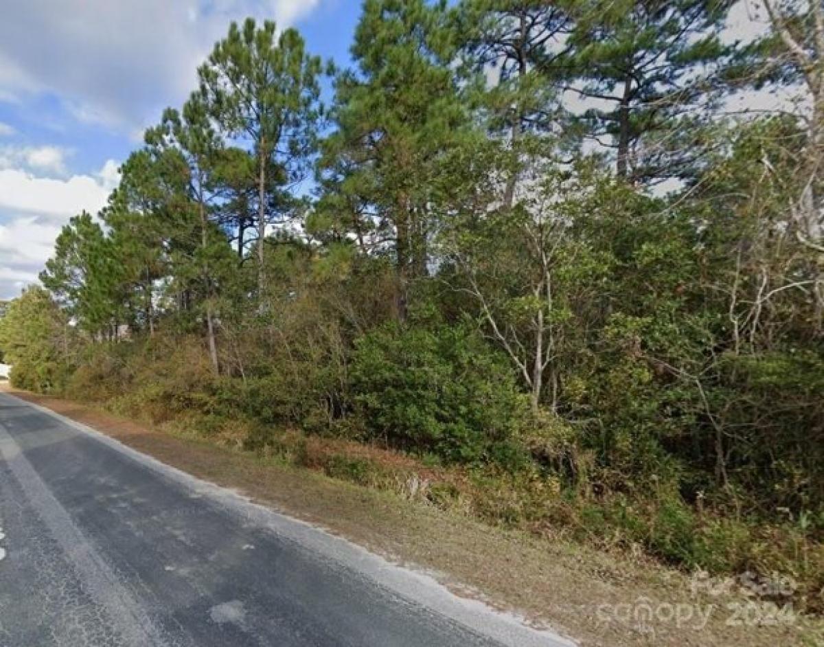 Picture of Residential Land For Sale in Newport, North Carolina, United States