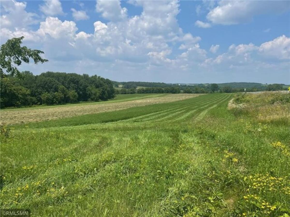 Picture of Residential Land For Sale in Glenwood City, Wisconsin, United States