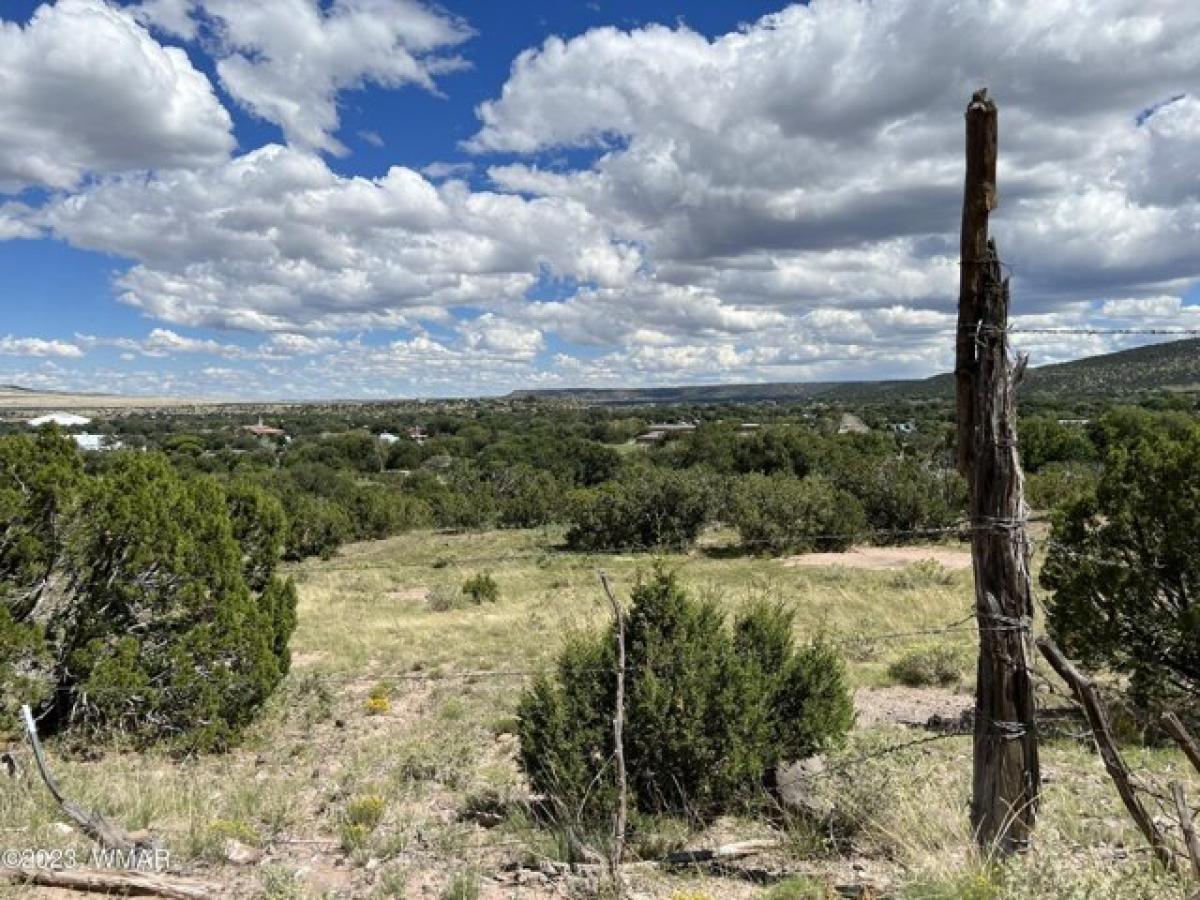 Picture of Residential Land For Sale in Eagar, Arizona, United States