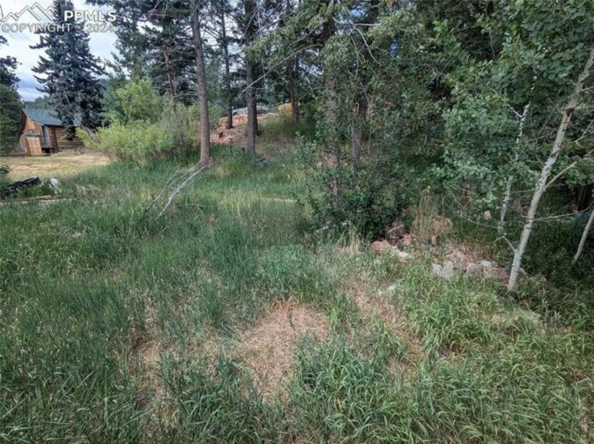 Picture of Residential Land For Sale in Woodland Park, Colorado, United States