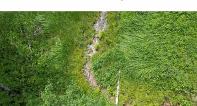 Residential Land For Sale in Helmville, Montana