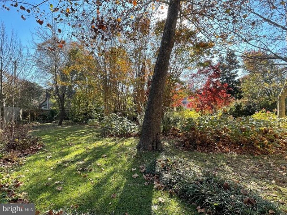 Picture of Residential Land For Sale in Milton, Delaware, United States