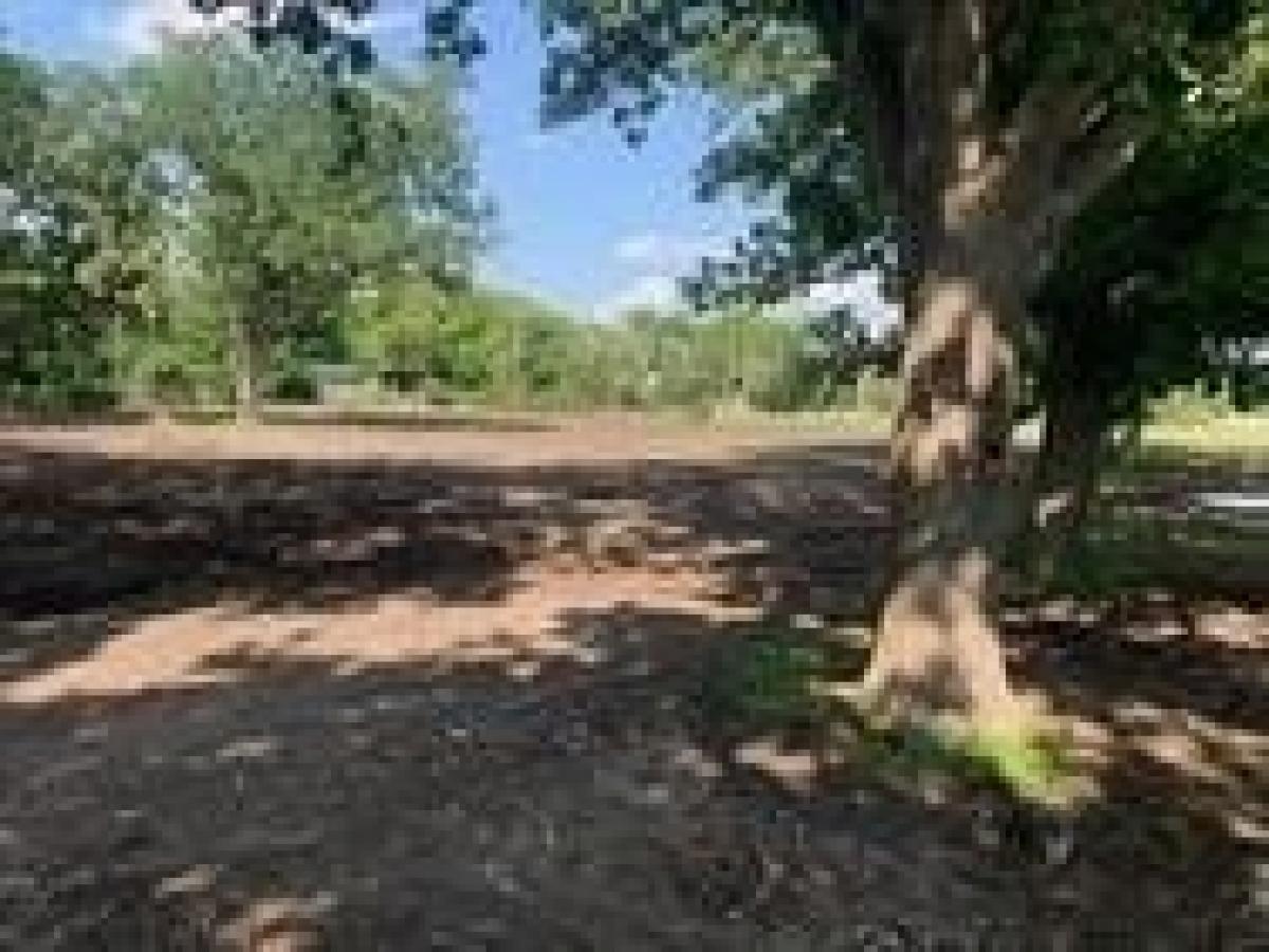 Picture of Residential Land For Sale in Bartlett, Texas, United States