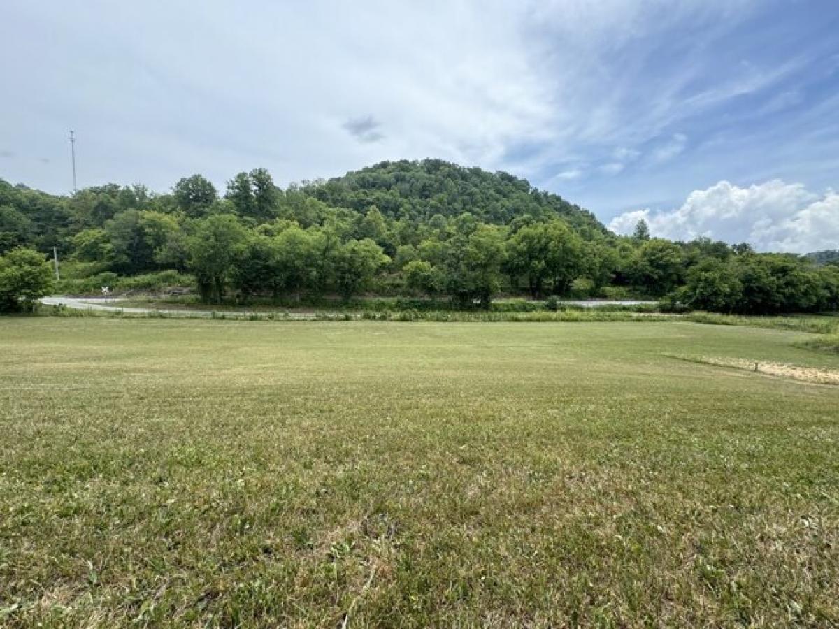 Picture of Residential Land For Sale in Buffalo Valley, Tennessee, United States