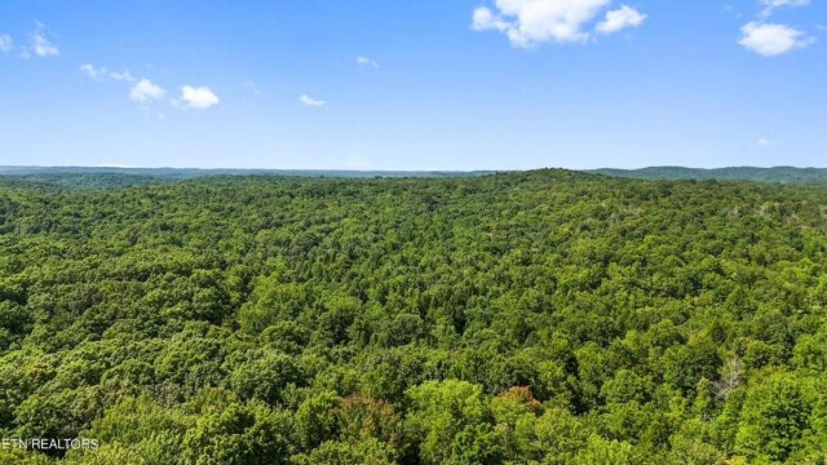 Picture of Residential Land For Sale in Oneida, Tennessee, United States