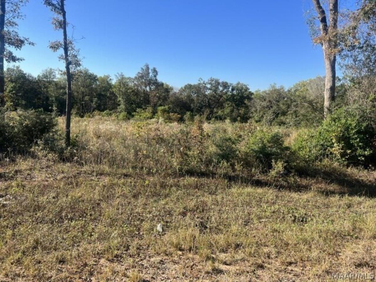 Picture of Residential Land For Sale in New Brockton, Alabama, United States