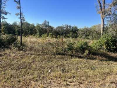 Residential Land For Sale in New Brockton, Alabama